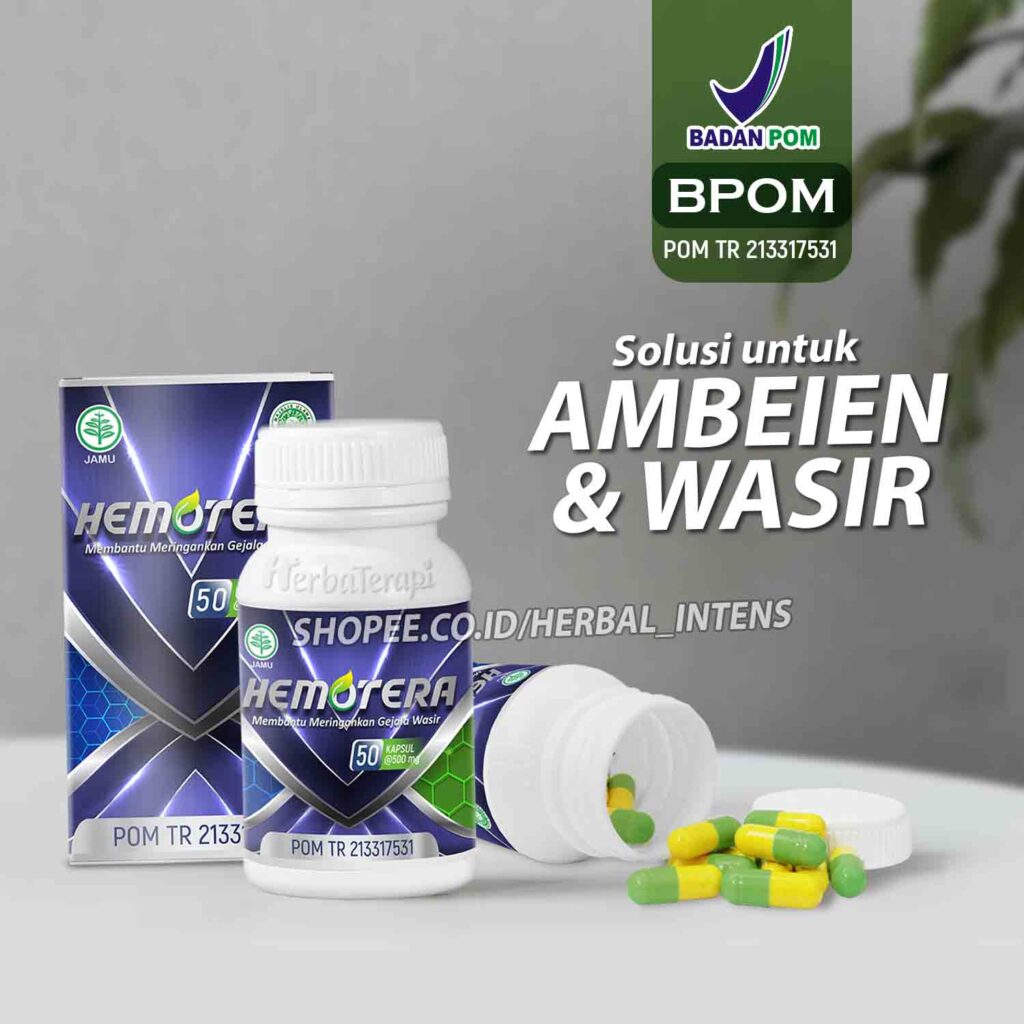 hemotera obat herbal wasir ambeien