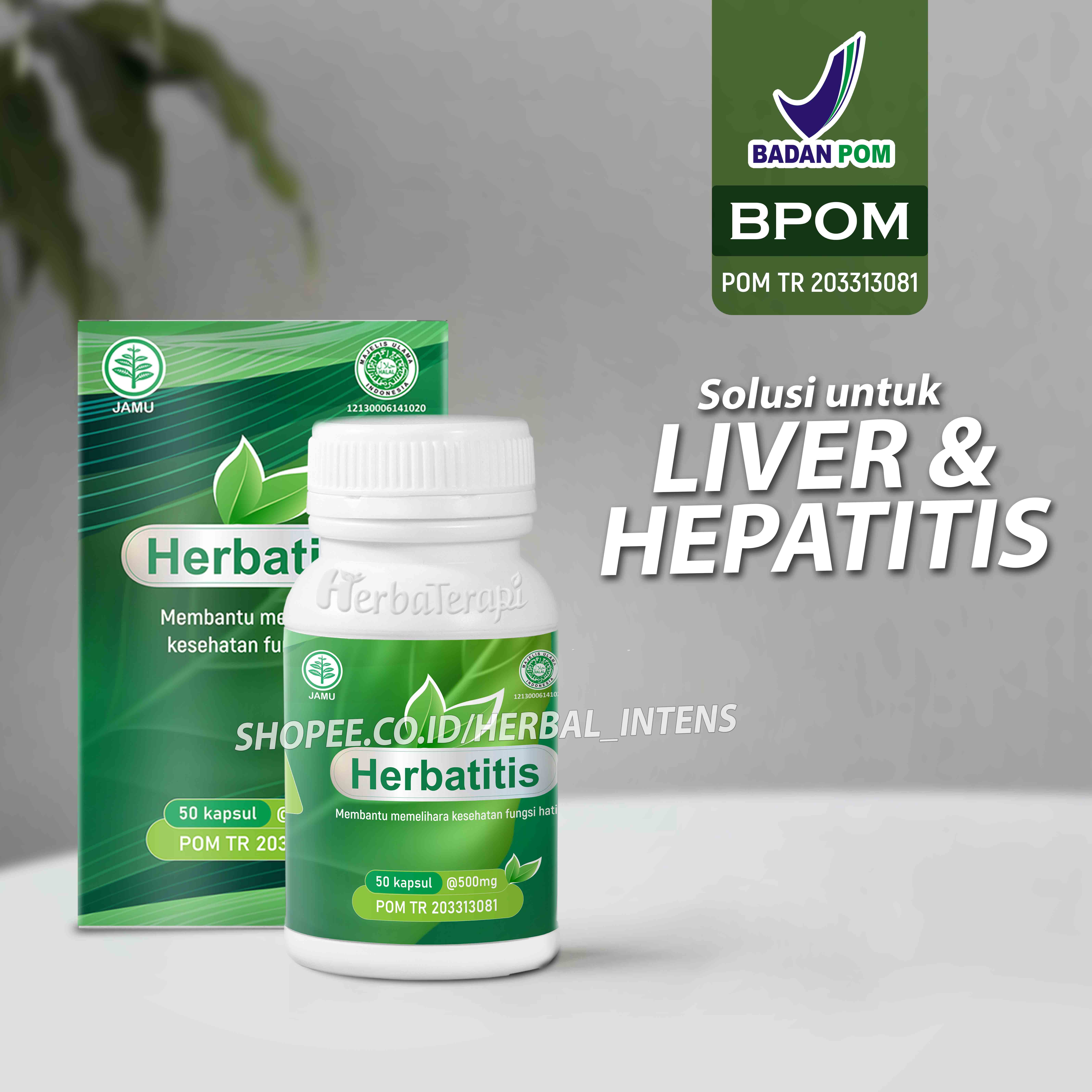 herbatitis memelihara kesehatan fungsi hati