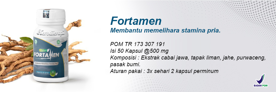 fortamen obat stamina pria