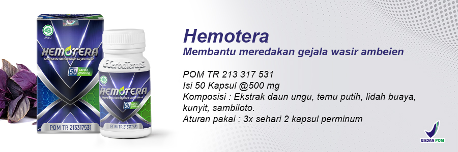 hemotera obat herbal wasir ambeien