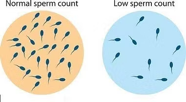 sperma sedikit coba minum vertomen