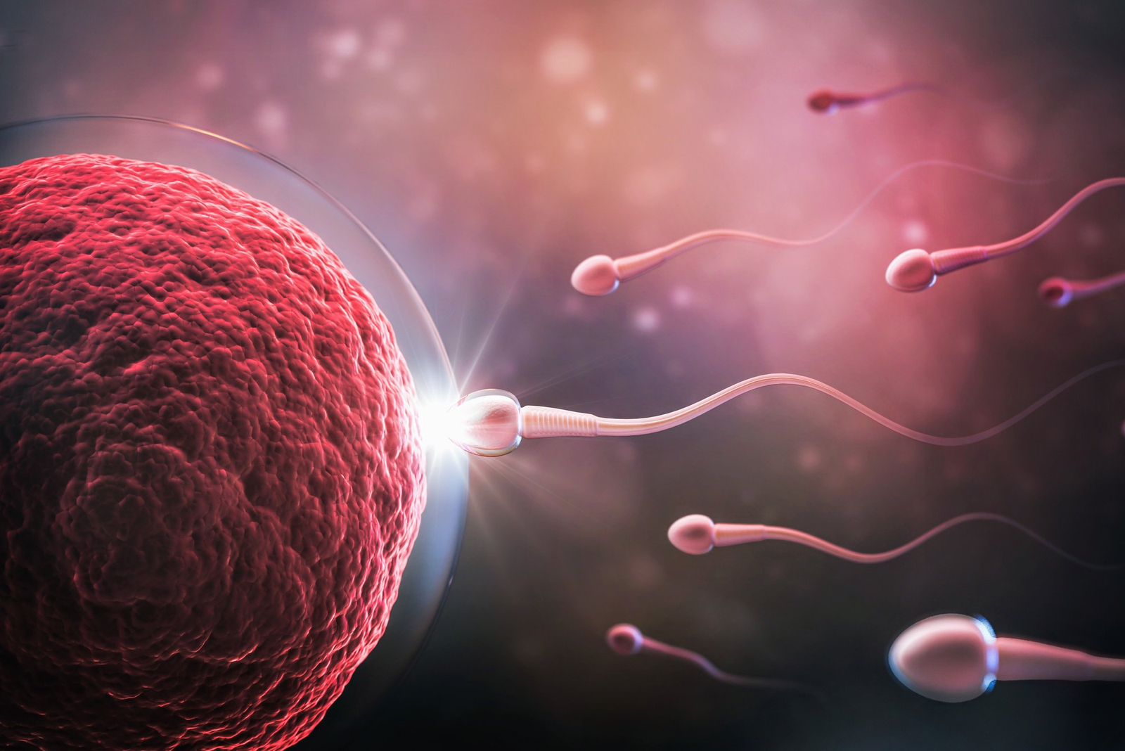 Asthenozoospermia vertomen