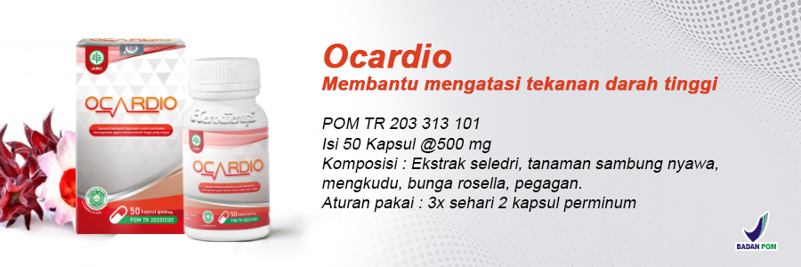 ocardio obat herbal darah tinggi