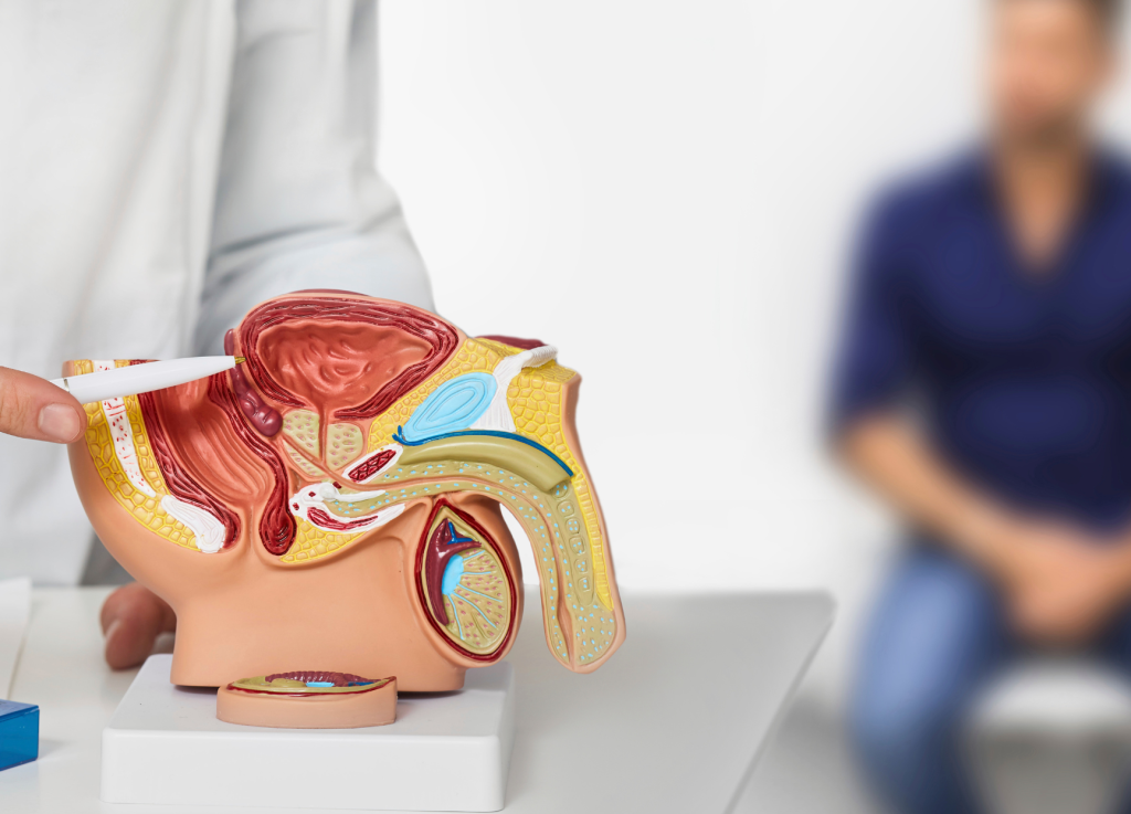 gangguan prostat prosterafit