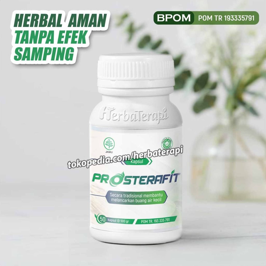 pengertian prostat prosterafit