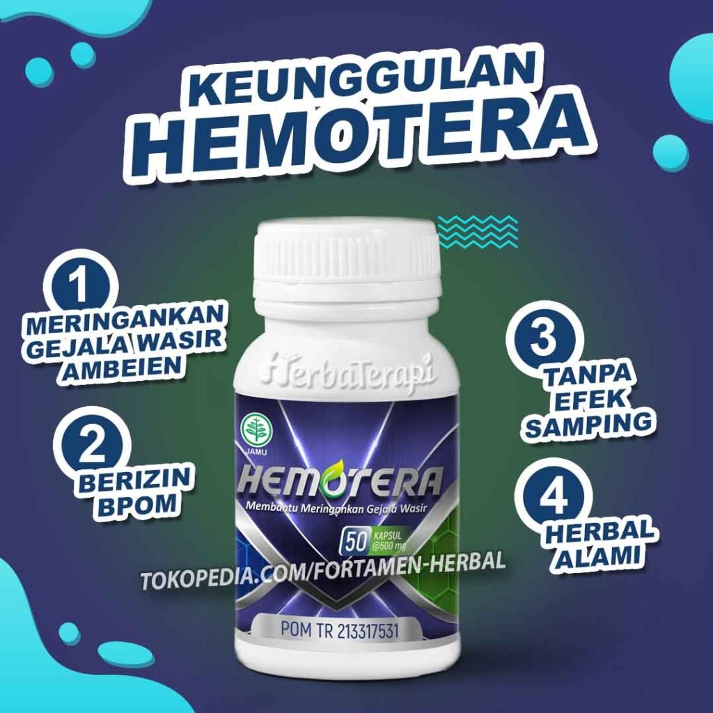 pengertian wasir hemotera
