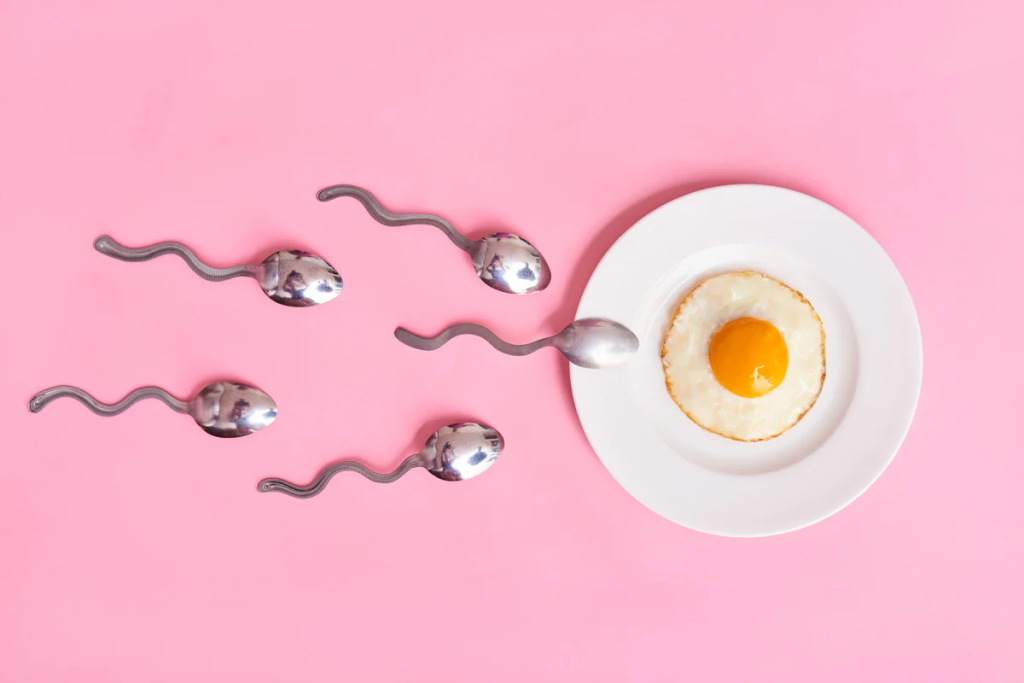 hubungan sperma dan ovulasi