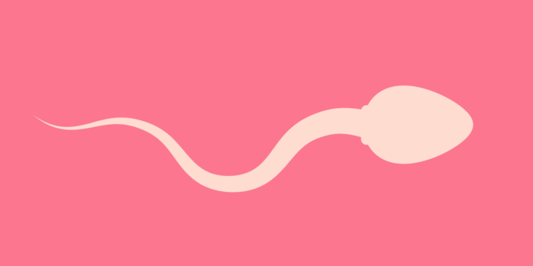 rasa sperma vertomen