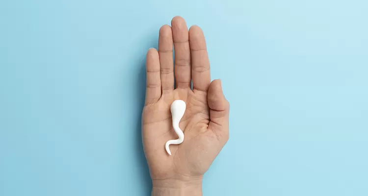 sperma sedikit vertomen