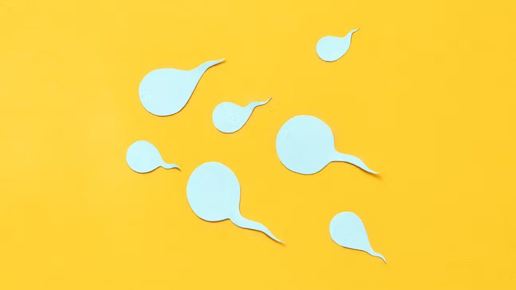 meningkatkan produksi sperma vertomen