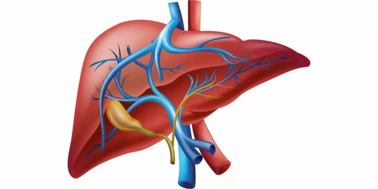 Herbatitis - hepatitis gejala dan penyebab