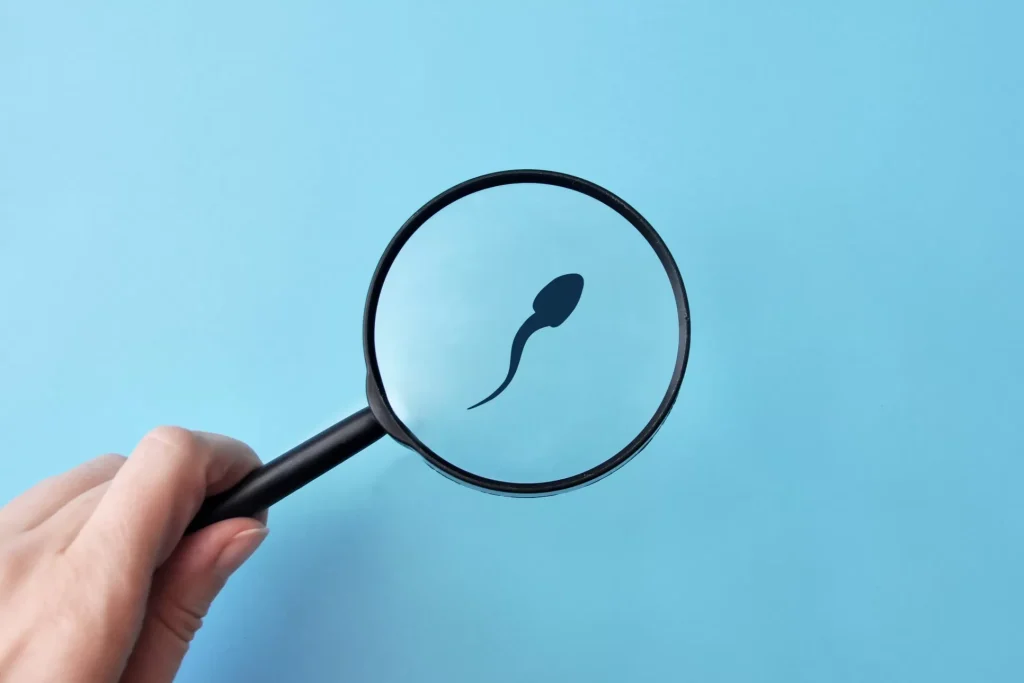 herbal terbaik vertomen