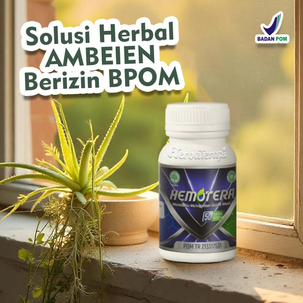 Manfaat Hemotera Untuk Wasir