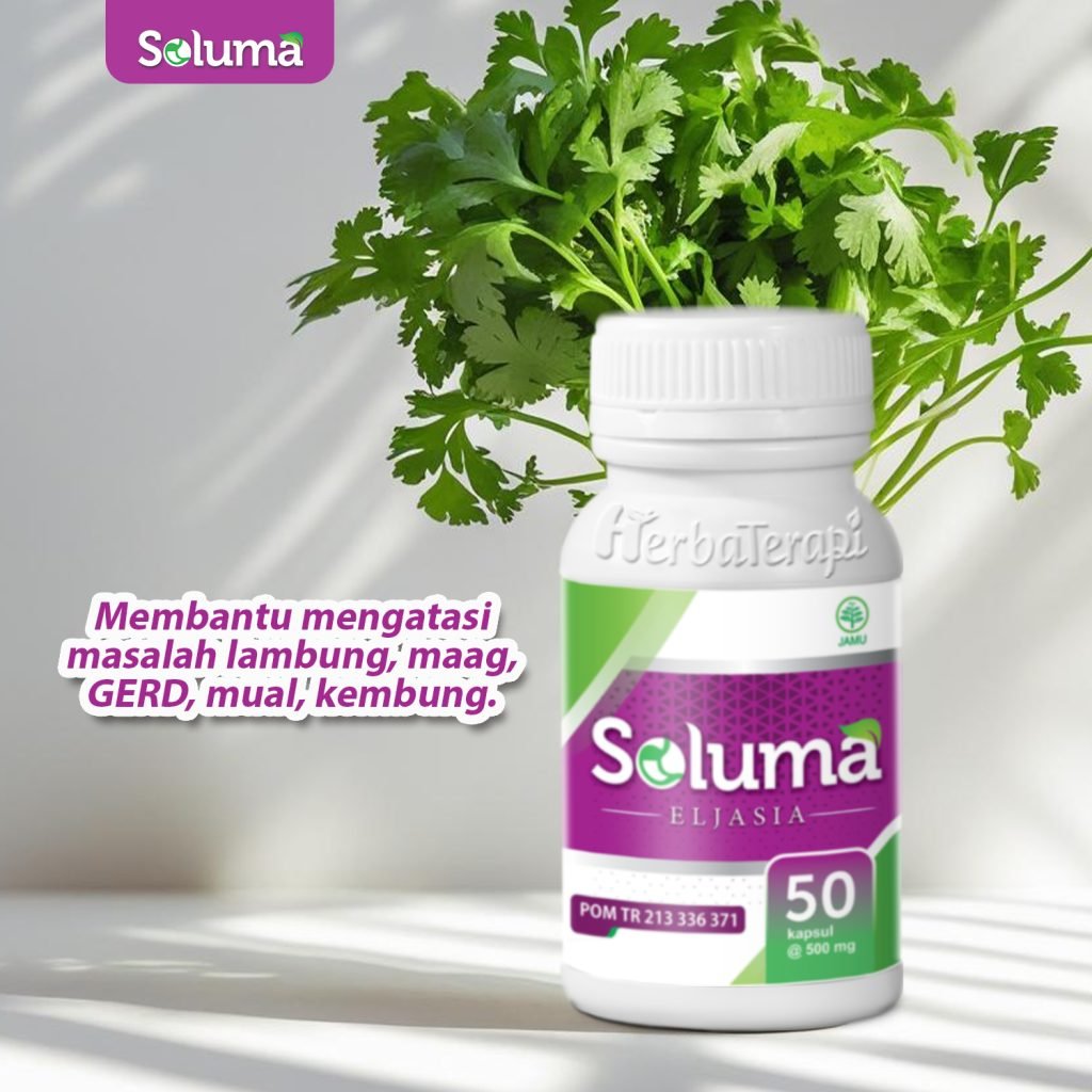 obat herbal lambung soluma