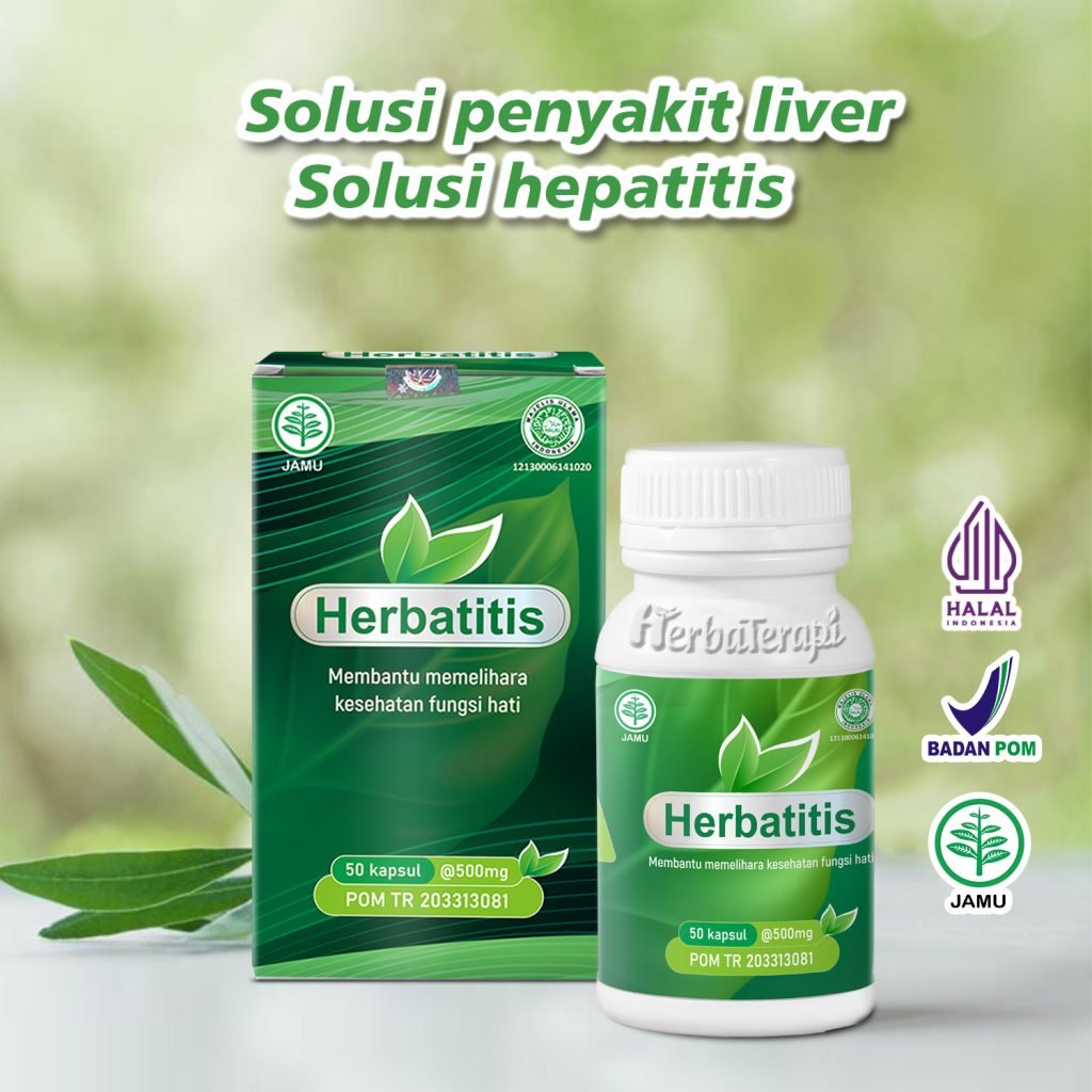 Obat Herbal Untuk Hepatitis Kronis