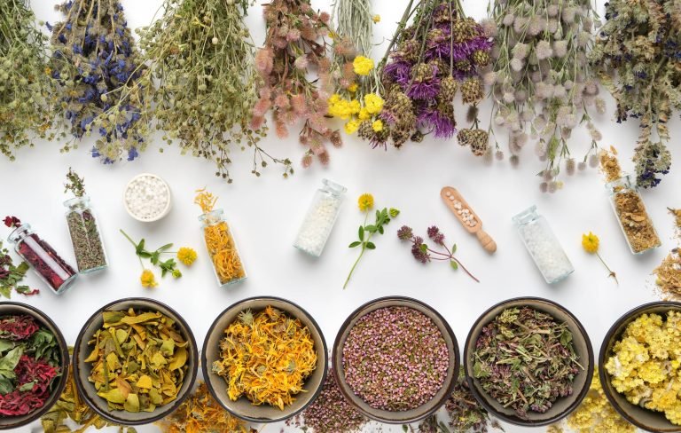 Herbatitis - Obat Herbal Untuk Hepatitis Kronis