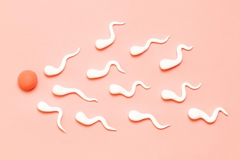 Penyebab Sperma Tidak Subur