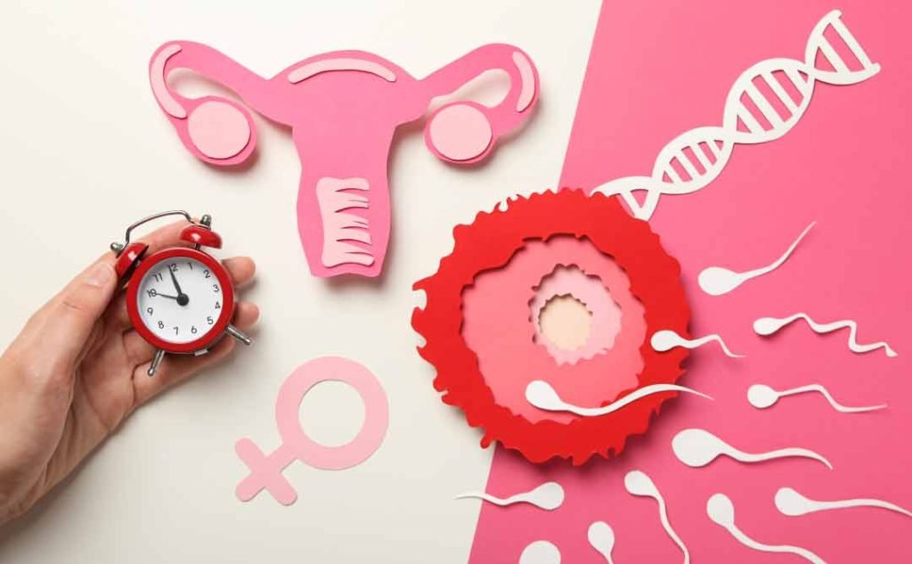 penyubur kandungan wanita