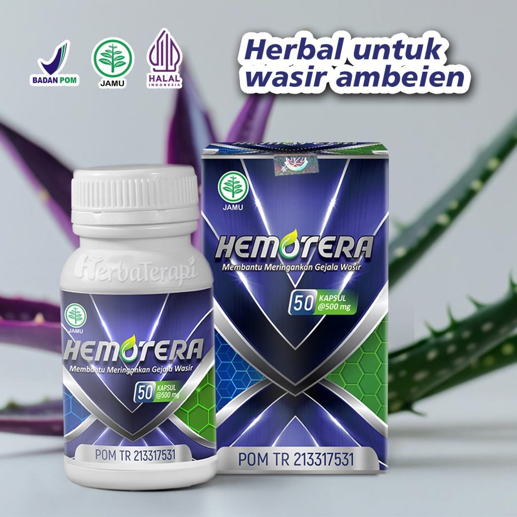 hemotera Duduk Lama Picu Wasir