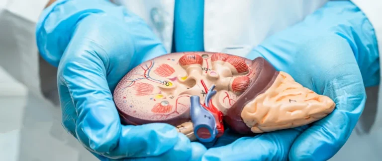 hepatitis bisa dicegah dengan herbatitis