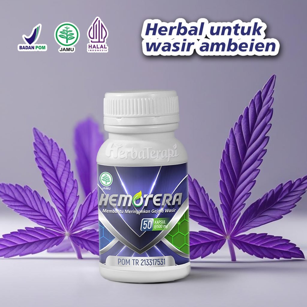 hemotera Apakah Wasir Bisa Hilang Sendiri