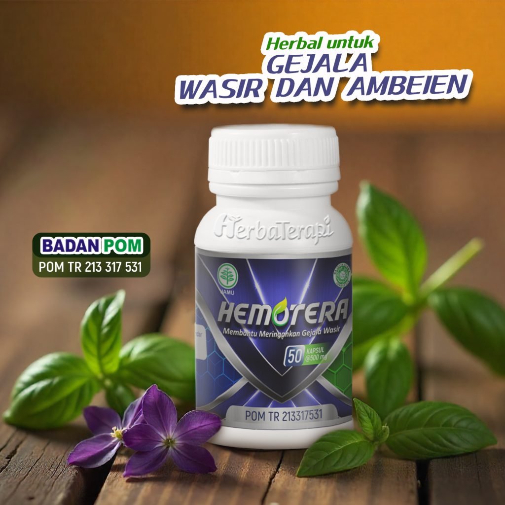 cara mengobati wasir hemotera