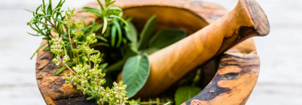 ereksi maksimal fortamen