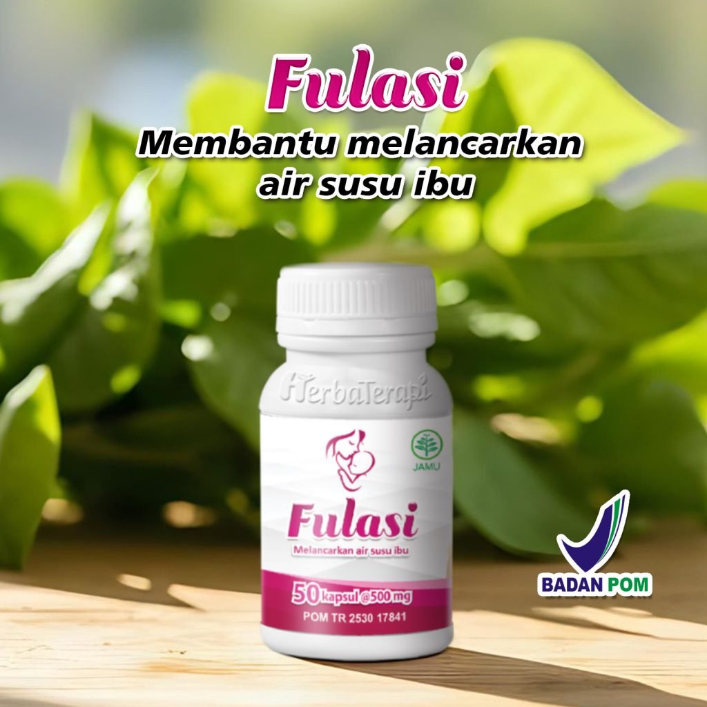 Makanan ASI Booster fulasi