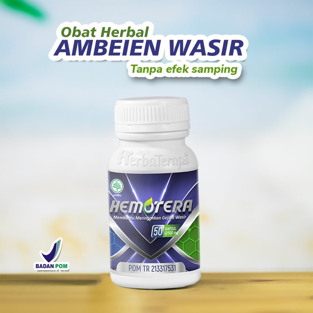 penyeab wasir hemotera