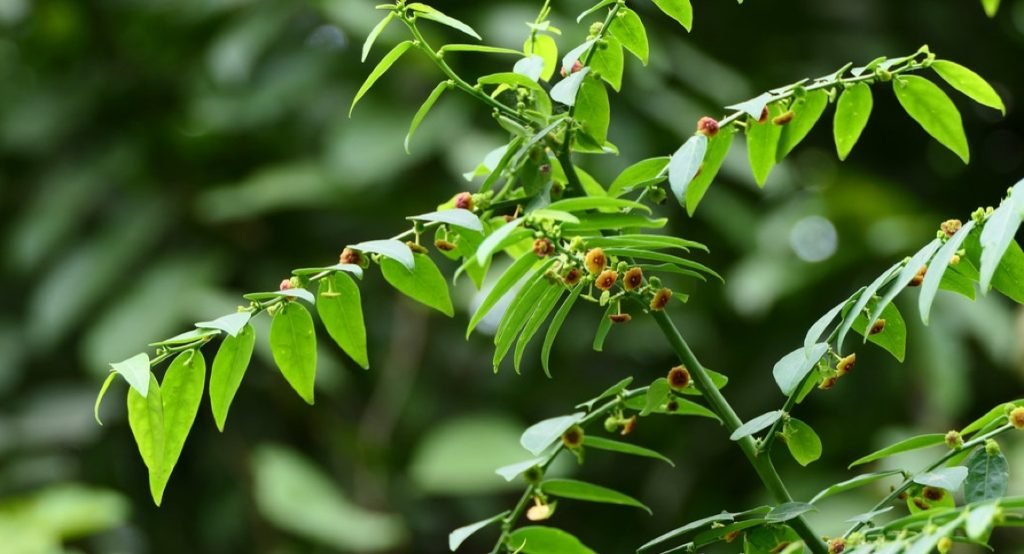 Tips Melancarkan ASI