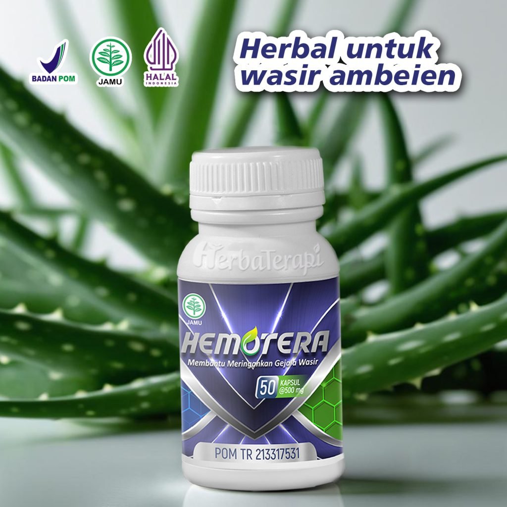 obat wasir hemotera