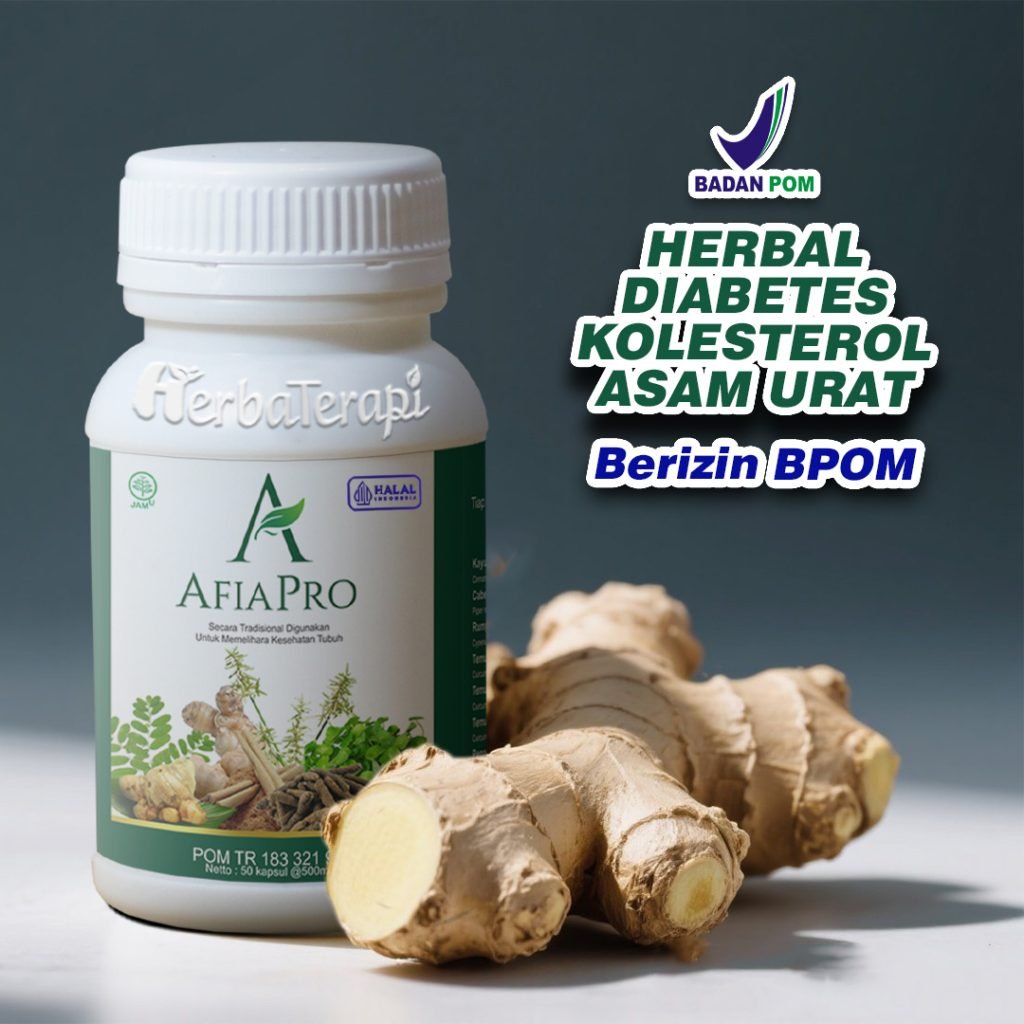 makanan penyebab kolesterol naik afiapro