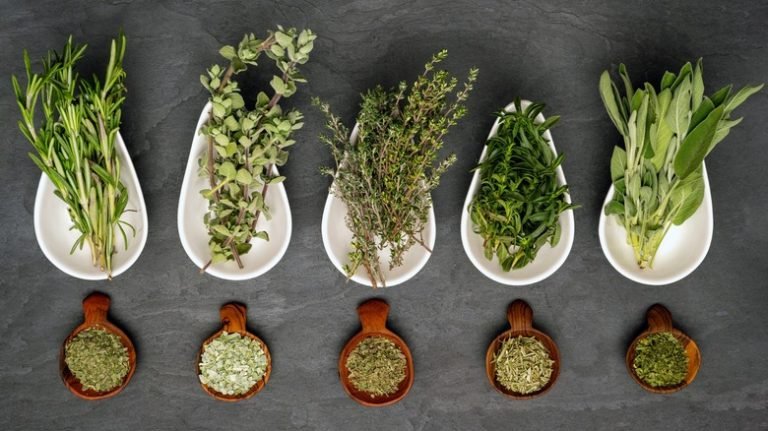 Obat Kuat Zhengswi Spray