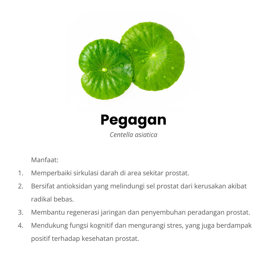 PROSTERAFIT (3)