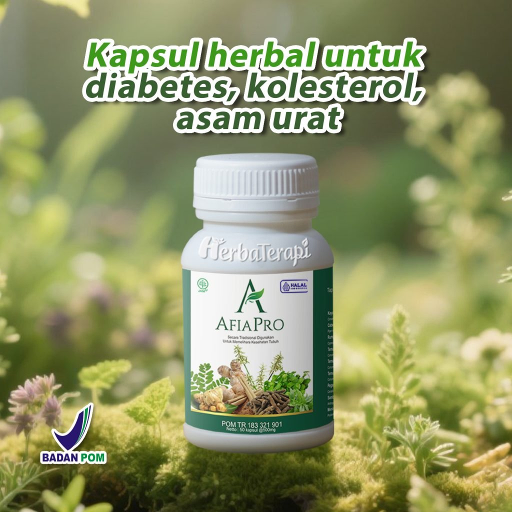 afiapro Apakah Kolesterol Bisa Sembuh Total