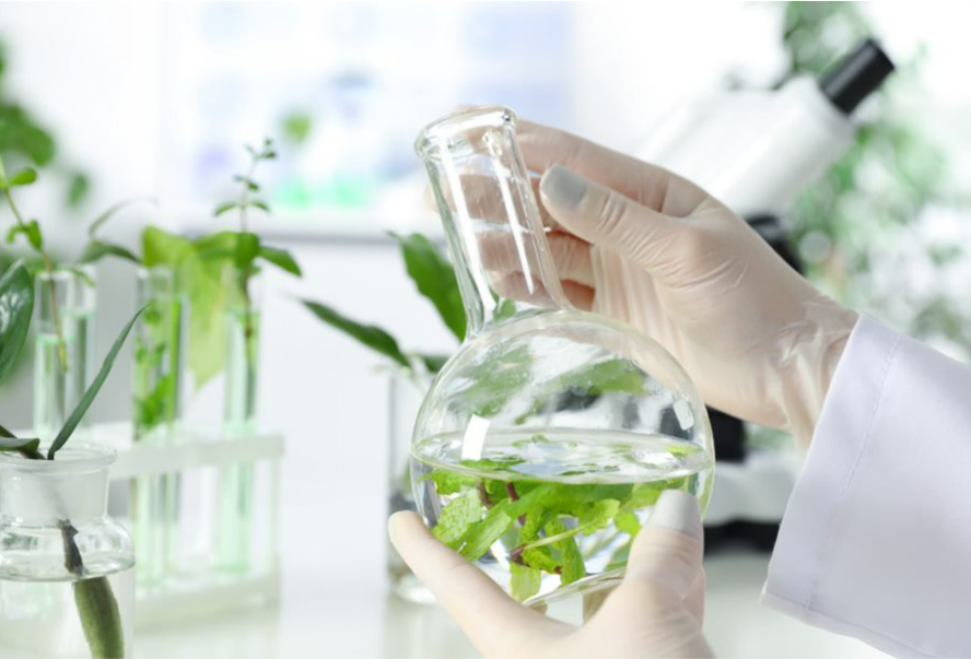 Mekanisme Kerja Herbatitis