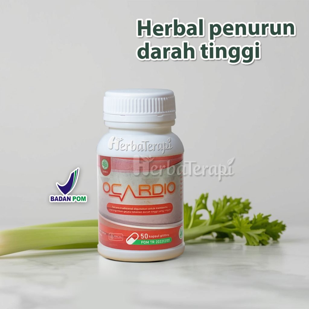 Faktor risiko hipertensi ocardio