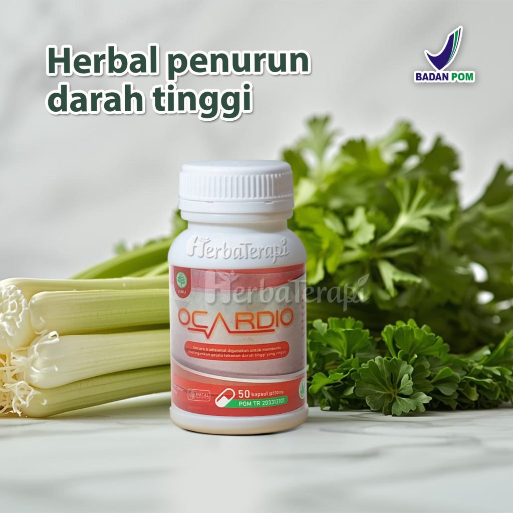kandungan ocardio