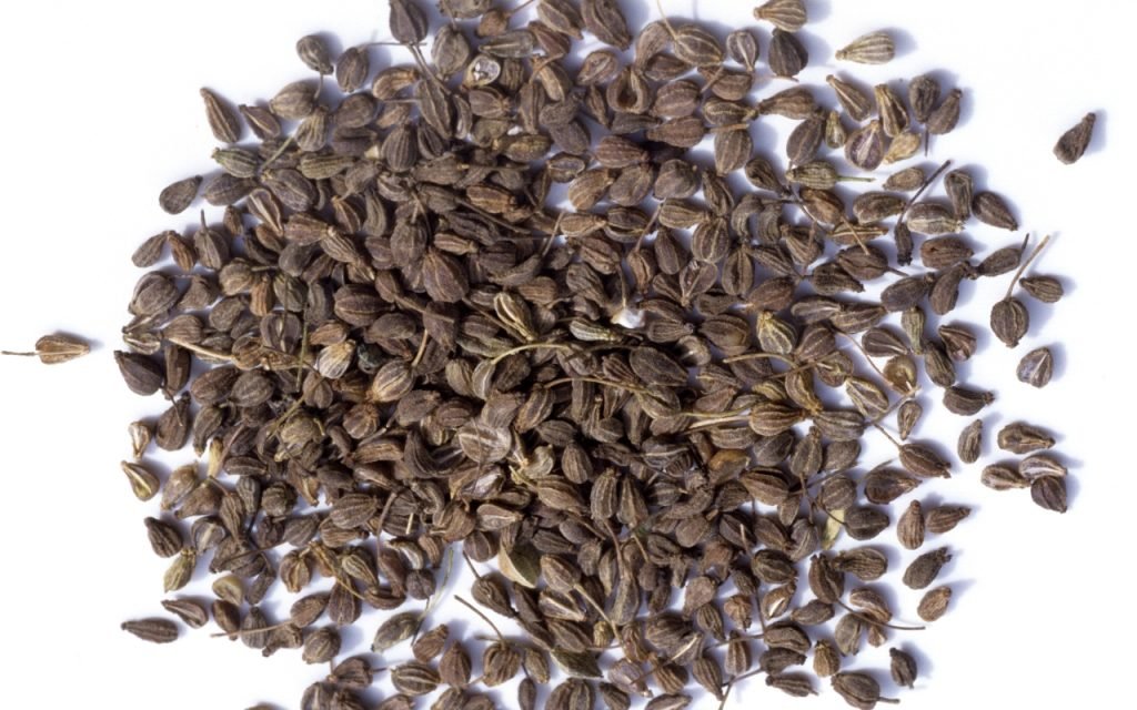 Purwaceng (Pimpinella pruatjan)