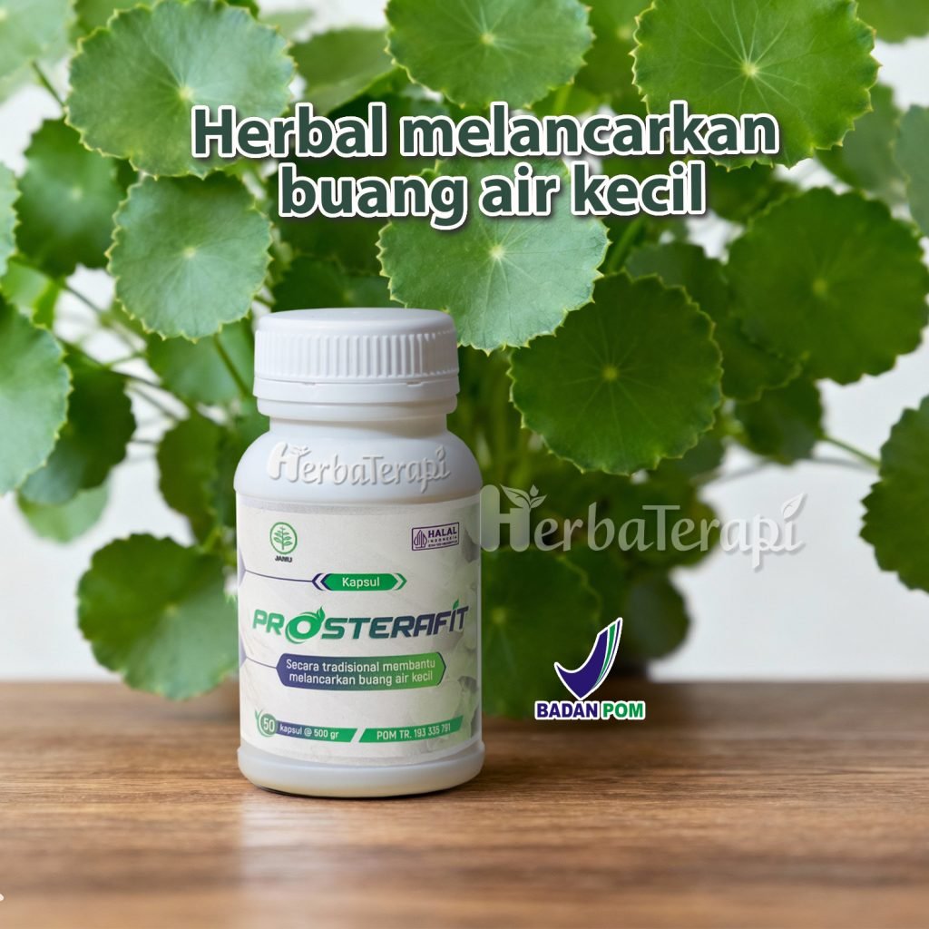 Apa Prostat Bisa Sembuh prosterafit