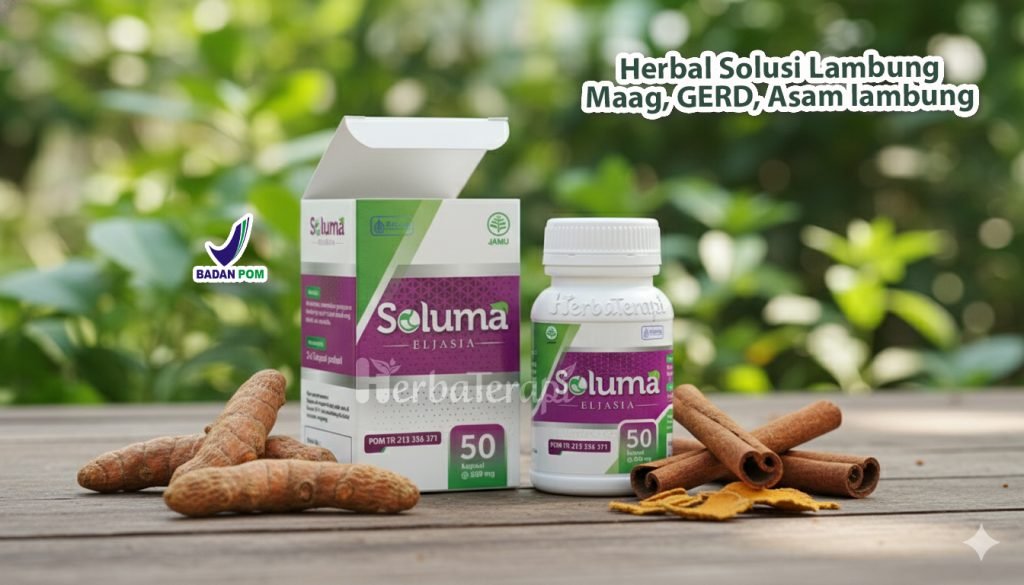 Pola Makan Asam Lambung soluma