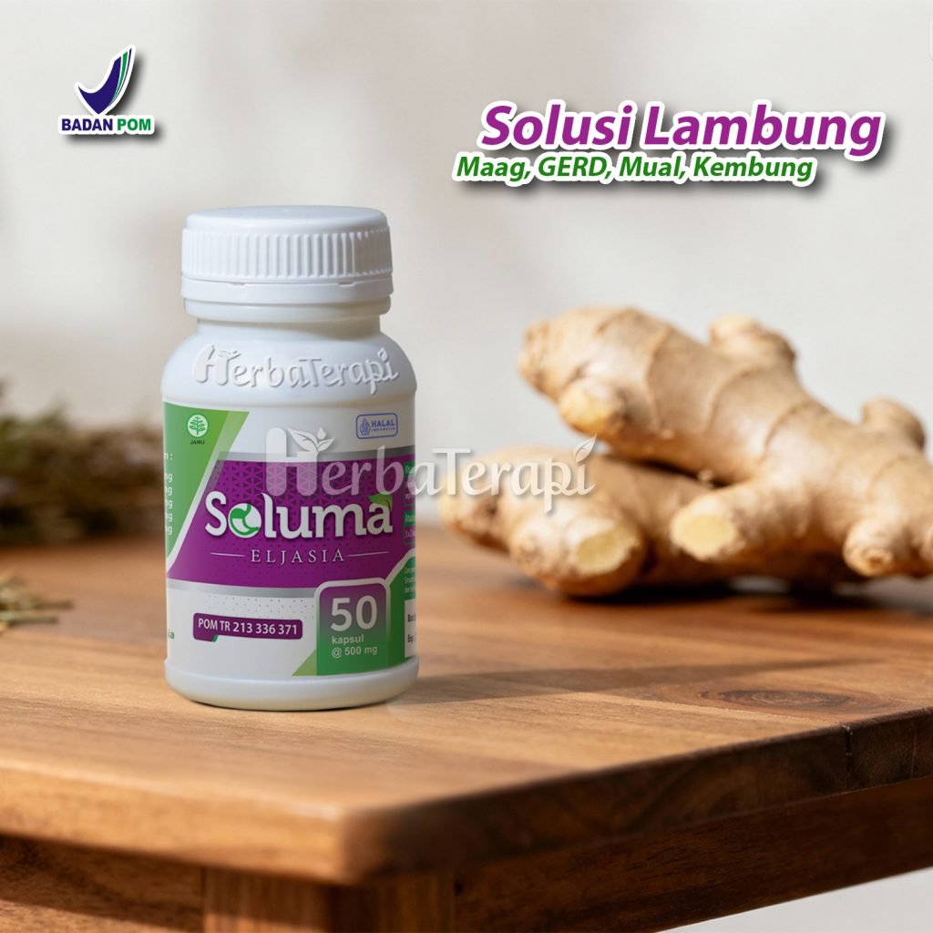 Penyebab Asam Lambung Naik soluma