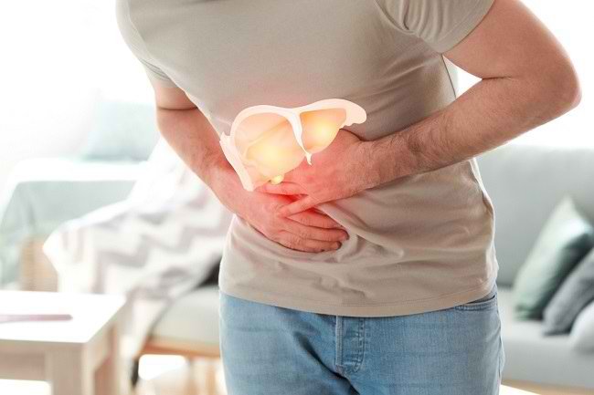 Fungsi Organ Hati Atasi Lemak Hati Sejak Dini