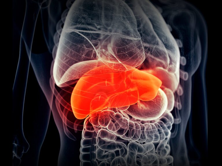 Gejala Hati Bengkak Tanda Hati Bekerja Terlalu Keras