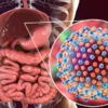 Mengenal Hepatitis D gejala dan penyebab