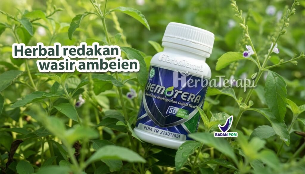 hemotera makanan pemicu wasir