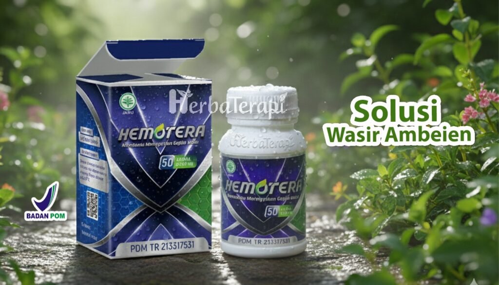 hemotera bahaya penyakit wasir