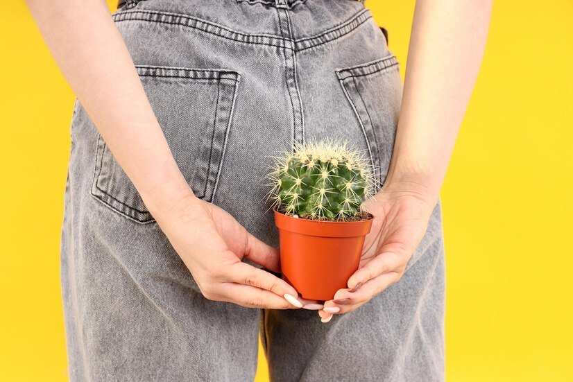 hemotera benjolan di anus