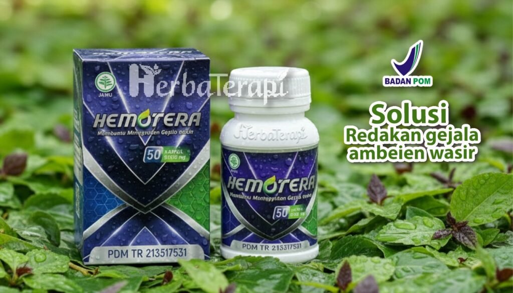 hemotera dampak penyakit wasir