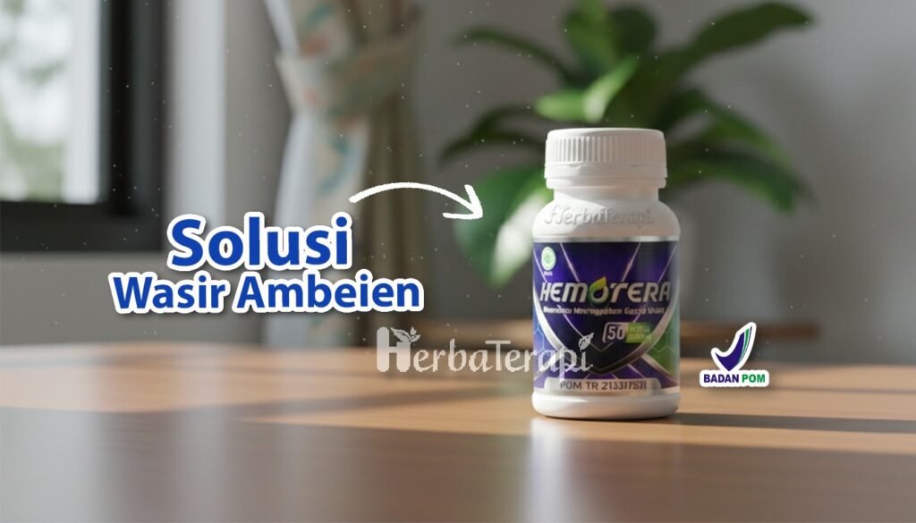 hemotera jam bab ideal